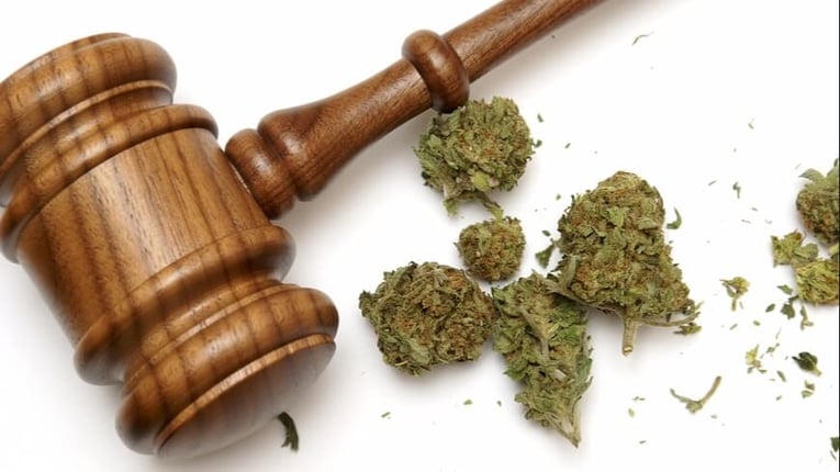 legalization of marijuana