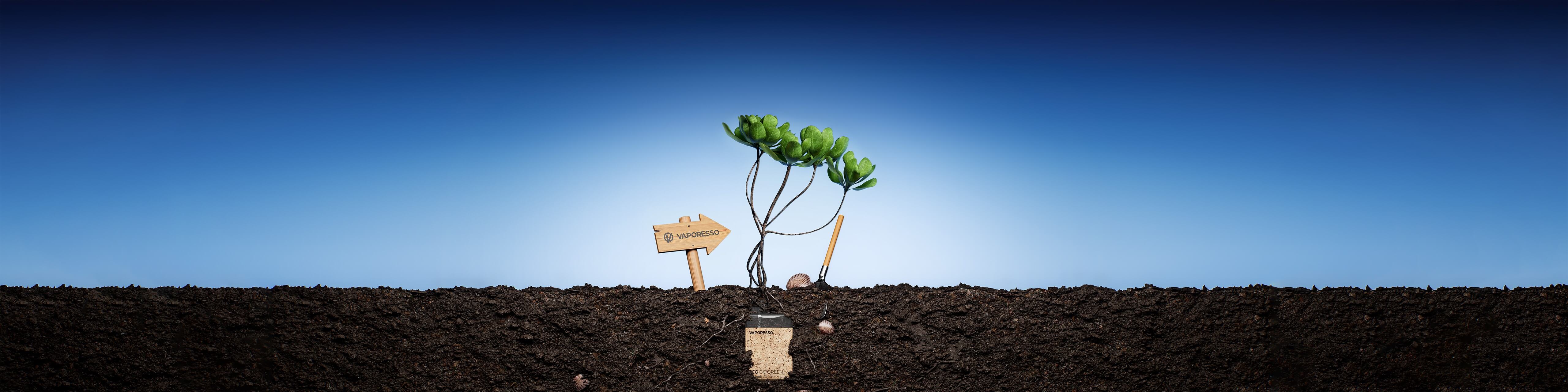 GLOBAL CARBON NEUTRAL PROGRAM